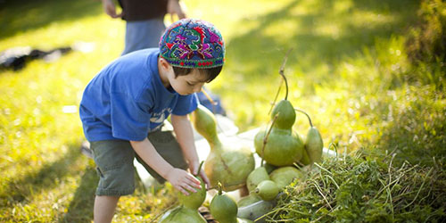 Advancing Jewish Social Justice and Environmental Action: Lessons Learned from Covenant Grantees