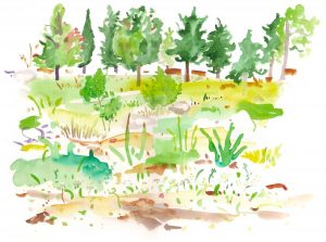 An Introduction to Reports from the Field, Volume 2